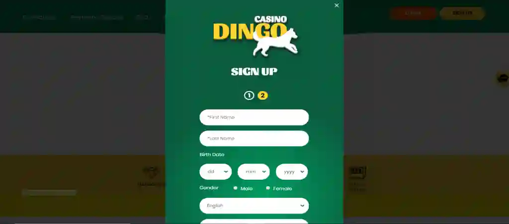 dingo sign up step by step -3